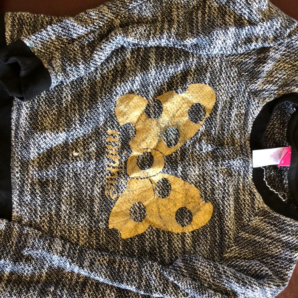 Sweater with Minnie on it
